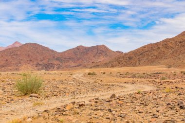Richtersveld Ulusal Parkı 'ndaki toprak arazinin yanında seyrek bitki örtüsü. Güney Afrika' nın çorak bölgesi.