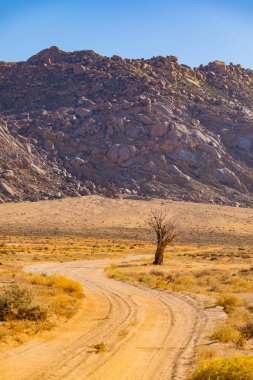 Richtersveld Ulusal Parkı 'nda geniş bir açık alan, Güney Afrika' nın kurak bölgesi.