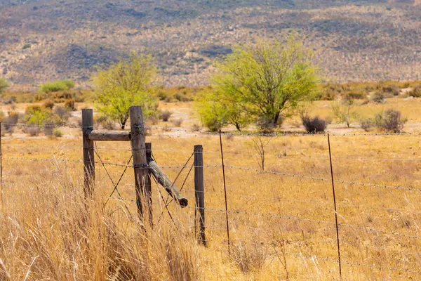 Ogrodzenie Drutu Rolniczego Regionie Namaqualand Republice Południowej Afryki Zdjęcie Stockowe
