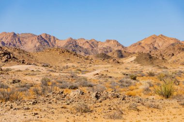 Richtersveld Ulusal Parkı 'nda seyrek çöl manzarası, Güney Afrika' nın çorak bölgesi.