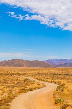 Güney Afrika 'nın kurak bölgesi Richtersveld Ulusal Parkı' ndaki açık alanın geniş açılı görüntüsü