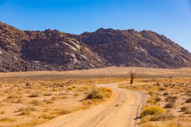 Richtersveld Ulusal Parkı 'nda geniş bir açık alan, Güney Afrika' nın kurak bölgesi.