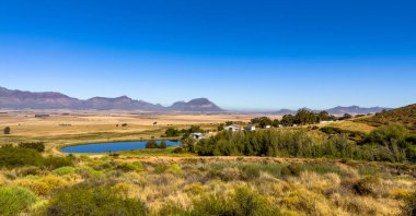 Güney Afrika 'nın Namaqualand bölgesinde çiftçi barajı