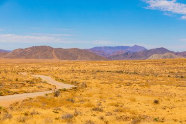 Güney Afrika 'nın kurak bölgesi Richtersveld Ulusal Parkı' ndaki açık alanın geniş açılı görüntüsü