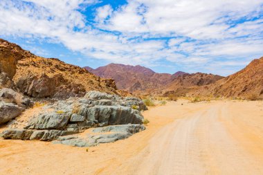 Güney Afrika 'nın çorak kesimindeki Richtersveld Ulusal Parkı' ndaki kayalarda bakır cevheri birikintileri var.