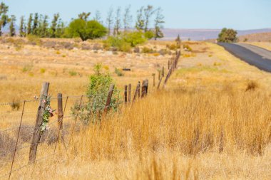 Güney Afrika 'nın Namaqualand bölgesinde çitin üzerinde çiçek anıtı