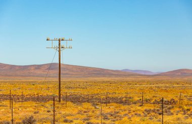 Güney Afrika 'nın Namaqualand bölgesinde telefon hattı direği