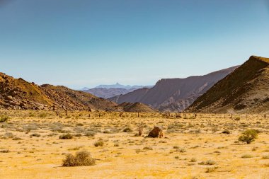 Richtersveld Ulusal Parkı 'ndaki dramatik çöl manzarası, Güney Afrika' nın kurak bölgesi.