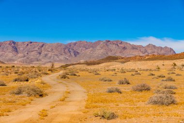  Richtersveld Ulusal Parkı 'ndaki açık alanda toprak yol, Güney Afrika' nın çorak bölgesi.