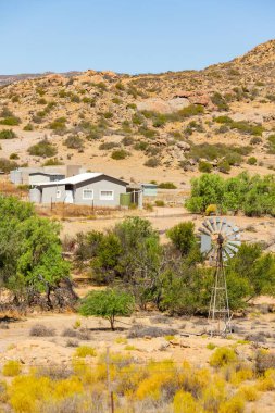 Güney Afrika 'nın Namaqualand bölgesinde rüzgar pompası yetiştiriyorum.