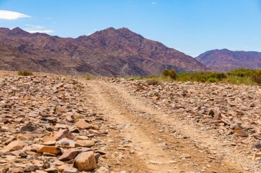 Dirt road in the Richtersveld National Park, arid area of South Africa clipart