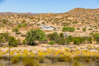 Güney Afrika 'nın Namaqualand bölgesinde rüzgar pompası yetiştiriyorum.