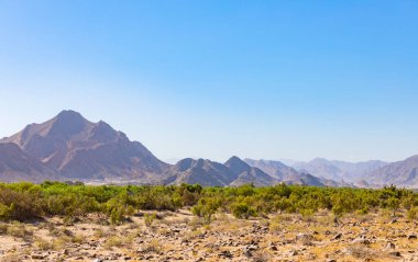 Namibya dağları Richtersveld Ulusal Parkı, Güney Afrika