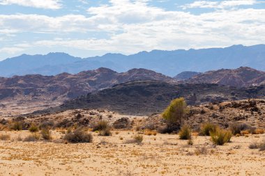 Richtersveld Ulusal Parkı 'nda seyrek çöl manzarası, Güney Afrika' nın çorak bölgesi.