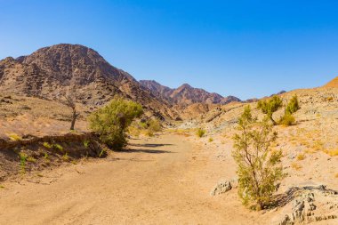 Richtersveld Ulusal Parkı 'ndaki çakıllı toprak yol, Güney Afrika' nın çorak bölgesi.
