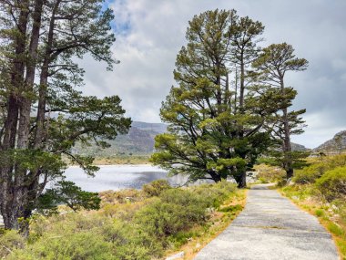 Cape Town engebeli dağlarının tepesindeki rezervuar barajının manzarası