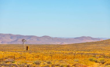 Güney Afrika 'nın Namaqualand bölgesinde rüzgar değirmeni pompası
