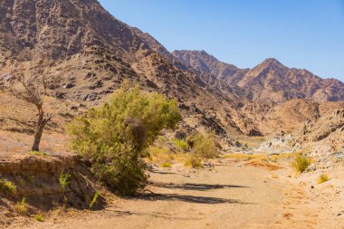 Richtersveld Ulusal Parkı 'ndaki çakıllı toprak yol, Güney Afrika' nın çorak bölgesi.