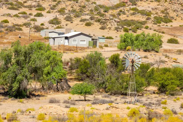 Güney Afrika 'nın Namaqualand bölgesinde rüzgar pompası yetiştiriyorum.