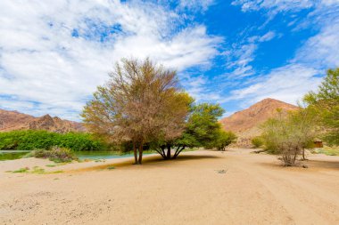 Richtersveld Ulusal Parkı 'ndaki çöl kampı, Güney Afrika' nın çorak bölgesi.