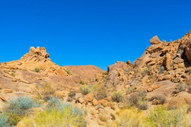 Güney Afrika 'nın çorak bölgesi olan Richtersveld Ulusal Parkı' ndaki Kokerboomkloof Kamp Alanı