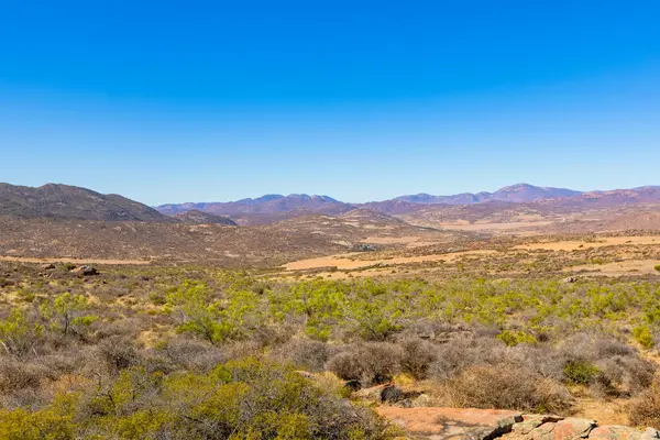 Güney Afrika 'nın Namaqualand bölgesindeki kurak manzaranın yüksek görünümü