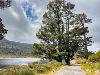 Cape Town engebeli dağlarının tepesindeki rezervuar barajının manzarası
