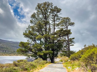 Cape Town engebeli dağlarının tepesindeki rezervuar barajının manzarası