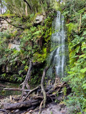 Güney Afrika Cape Town 'daki Gizemli Dağ Şelalesi manzarası