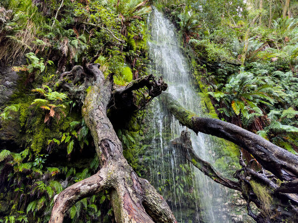 View of Mysterious mountain forest waterfall in Cape Town, South Africa