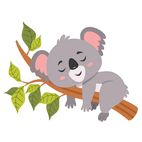 Tecknad Illustration Koala — Stock vektor