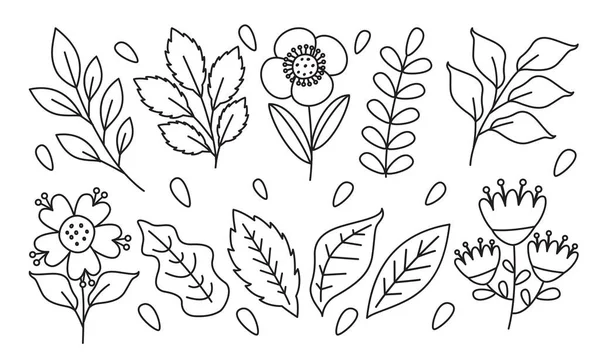Лінія Мистецтво Креслення Квітів Рослин — стоковий вектор