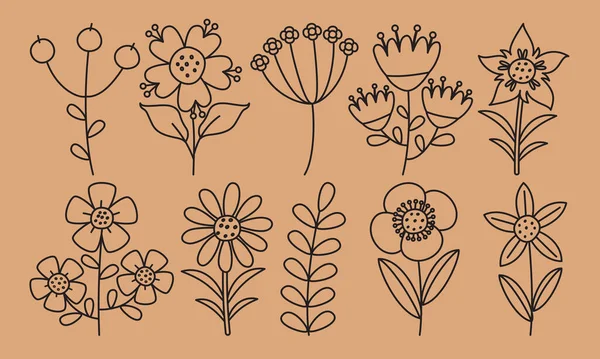 Çiçek Bitkilerin Çizgi Sanat Çizimi — Stok Vektör