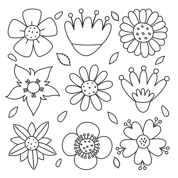 Γραμμική Τέχνη Σχέδιο Των Λουλουδιών Και Των Φυτών — Διανυσματικό Αρχείο