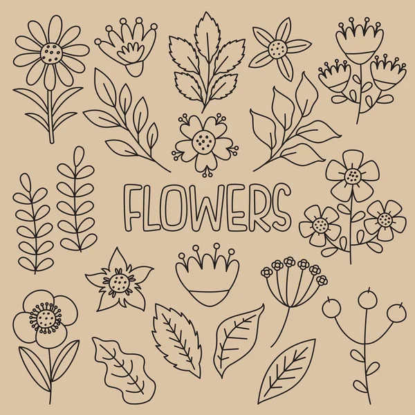 Linienkunst Zeichnung Von Blumen Und Pflanzen — Stockvektor