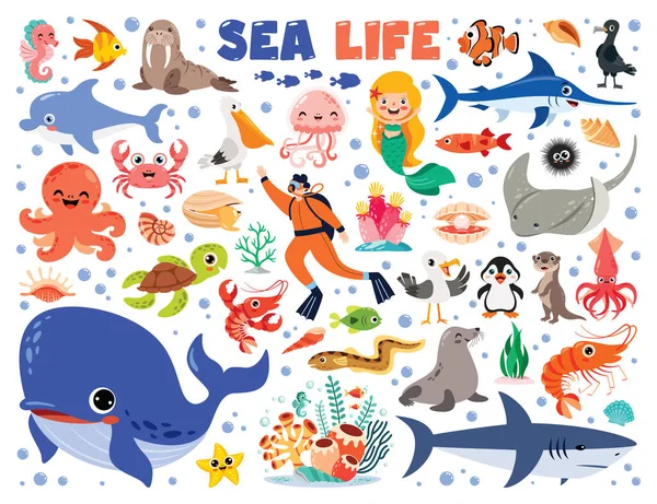 Γελοιογραφία Απεικόνιση Των Στοιχείων Της Θαλάσσιας Ζωής — Διανυσματικό Αρχείο