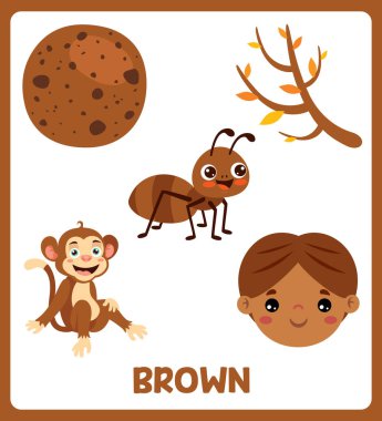 Çeşitli Elementlerle Renkli Flashcard