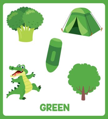 Çeşitli Elementlerle Renkli Flashcard