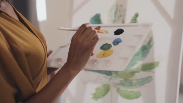 特写非洲裔美国妇女混合了蓝色和绿色油彩与刷子在调色板上 — 图库视频影像