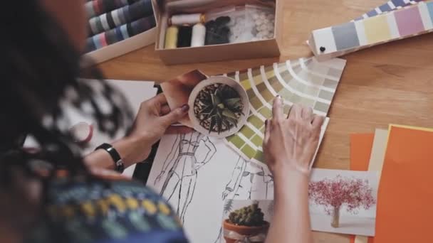 多肉植物の写真を保持し 縫製スタジオで机で緑のカラーパレットを調べる女性デザイナーの肩のショットの上に — ストック動画