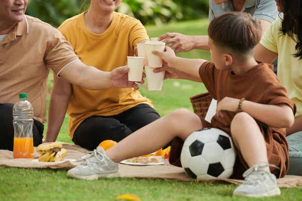 Family toasting with paper cups with refreshng drinks when enjoying picnic in park
