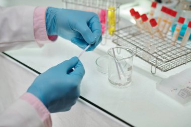 Hands of scientist in gloves using litmus paper when conducting research