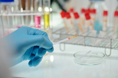 Hand of researcher showing stripe of litmus paper that changed colour in response to the acidity of the solution