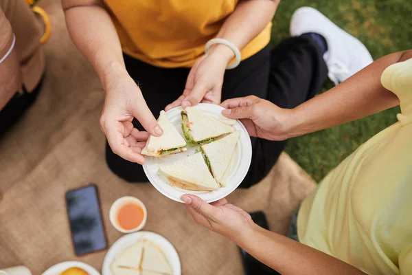 Hands of family member taking sandwich from plate at picnic view from above