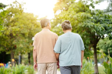 Senior couple holding hands when walking outdoors, view from back