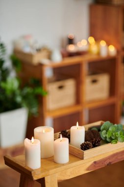 Burning candles, pine cones and flower on wooden tray in spa salon