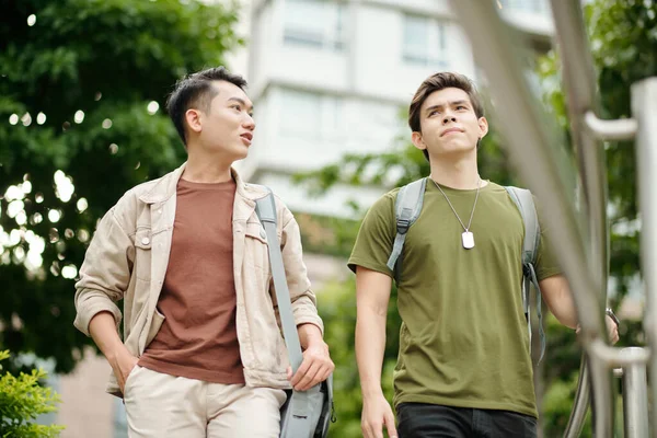 Friends Walking College Campus Discussing Homework — Stock Photo, Image