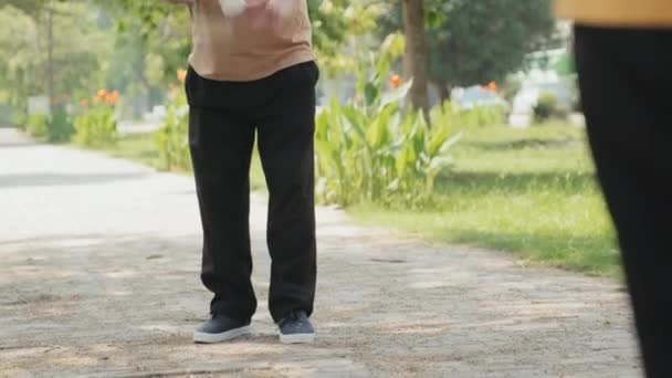 Felnőtt Ázsiai Férfi Tollaslabdázik Feleségével Miközben Sportol Nyári Napokon Parkban — Stock videók