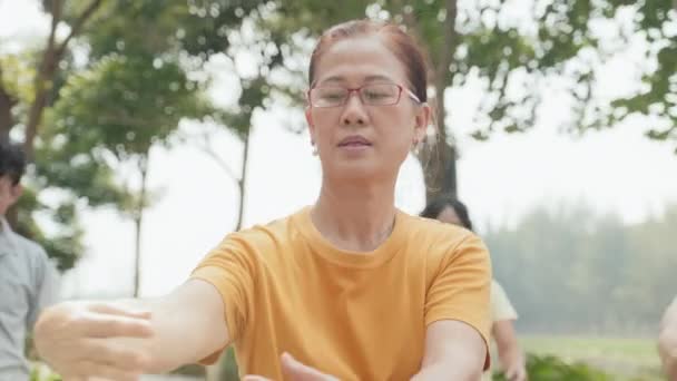 Kıdemli Asyalı Kadının Yaz Günü Aile Üyeleriyle Parkta Tai Chi — Stok video