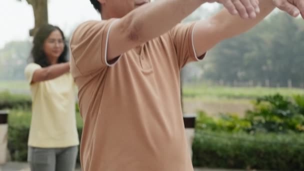 Yetişkin Asyalı Bir Adamın Tai Chi Çalışmasını Yaz Günü Dışarıda — Stok video